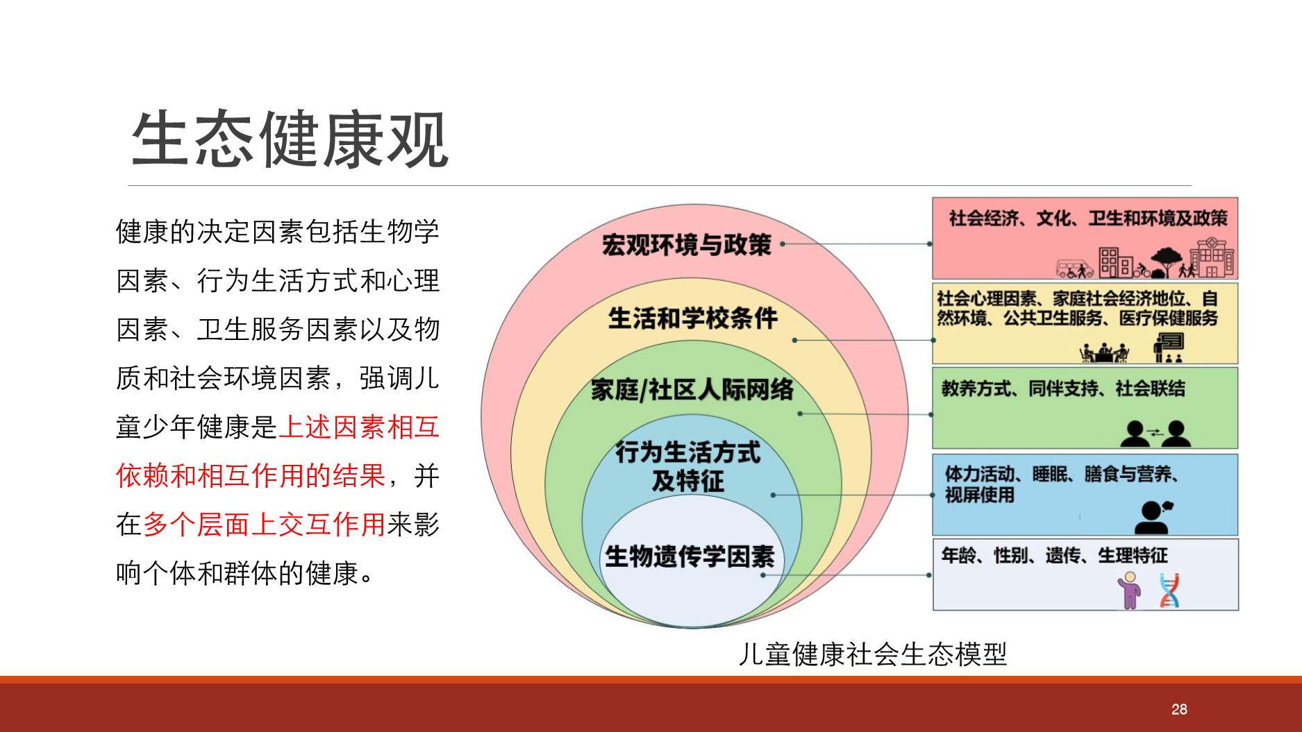 儿童健康社会生态模型